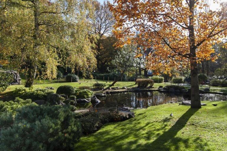 1-Bed Apartment, Close To Kensington Olympia With Free Wi-Fi & Netflix Londres Exterior foto
